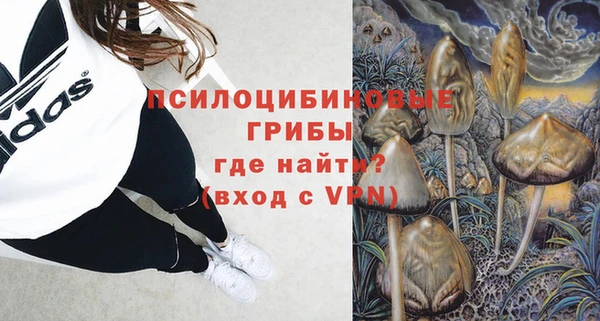 прущие грибы Горняк