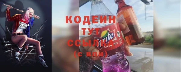 прущие грибы Горняк