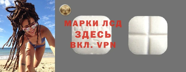 прущие грибы Горняк