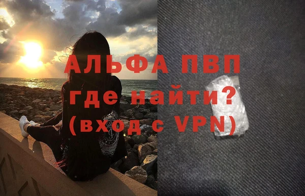прущие грибы Горняк
