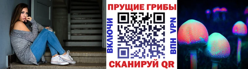 Псилоцибиновые грибы MAGIC MUSHROOMS Березники